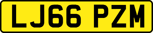 LJ66PZM