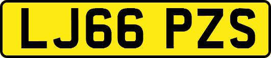 LJ66PZS