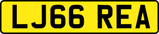 LJ66REA