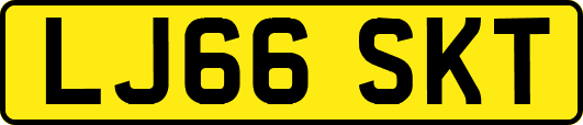 LJ66SKT