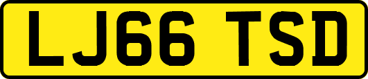 LJ66TSD