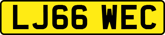 LJ66WEC