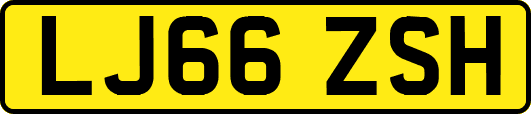 LJ66ZSH