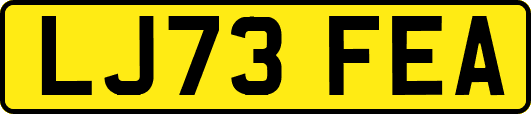 LJ73FEA