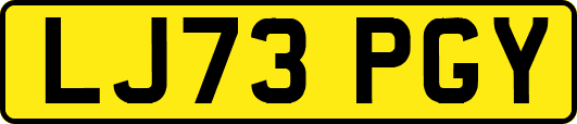 LJ73PGY