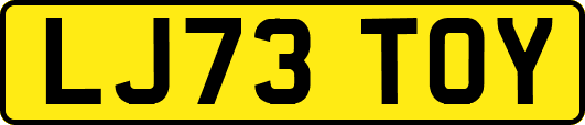 LJ73TOY