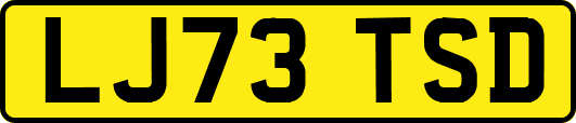 LJ73TSD