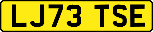 LJ73TSE