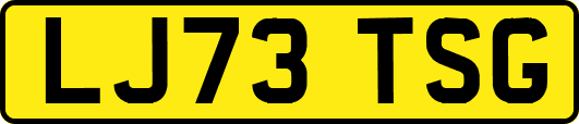LJ73TSG