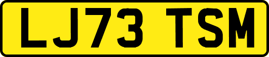 LJ73TSM