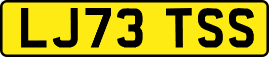 LJ73TSS