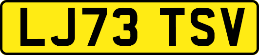 LJ73TSV