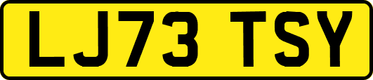 LJ73TSY