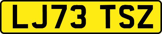 LJ73TSZ