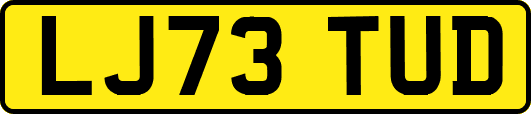 LJ73TUD