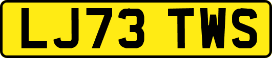 LJ73TWS