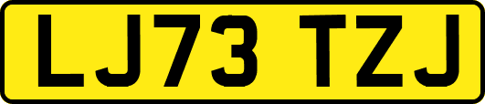LJ73TZJ