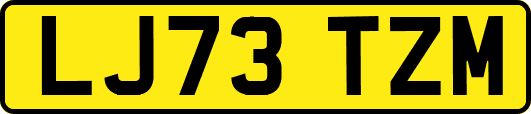 LJ73TZM