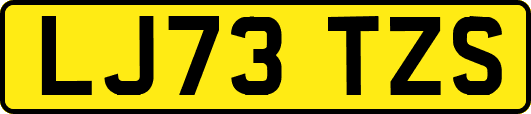 LJ73TZS