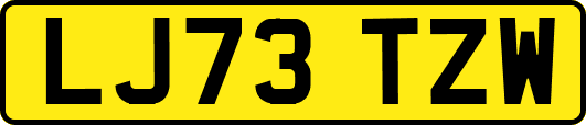 LJ73TZW