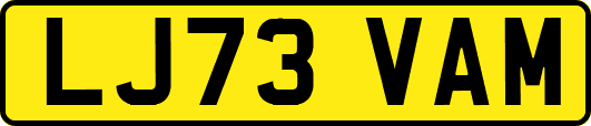 LJ73VAM