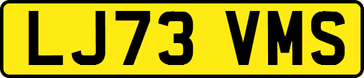 LJ73VMS