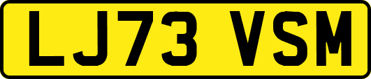 LJ73VSM