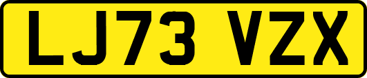 LJ73VZX