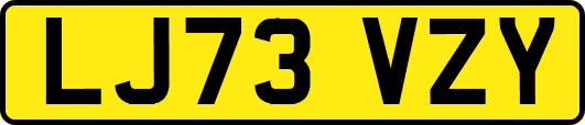 LJ73VZY