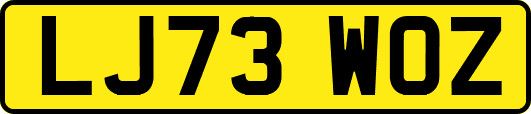 LJ73WOZ