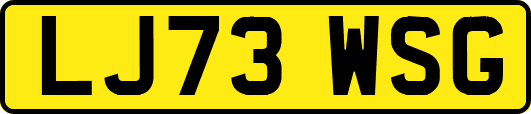 LJ73WSG