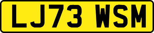 LJ73WSM