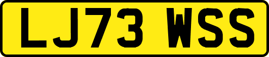 LJ73WSS