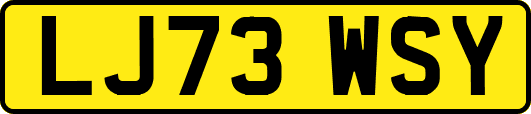 LJ73WSY