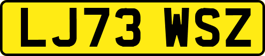 LJ73WSZ