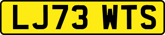 LJ73WTS