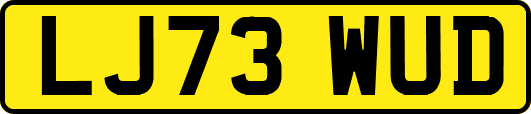 LJ73WUD