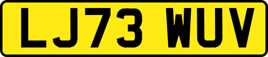 LJ73WUV