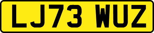 LJ73WUZ