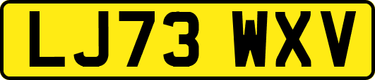 LJ73WXV