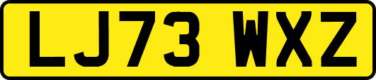 LJ73WXZ