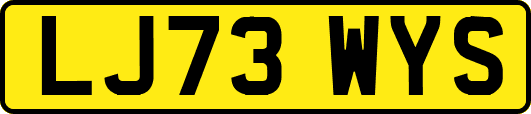 LJ73WYS