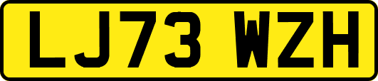LJ73WZH