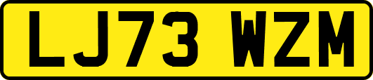 LJ73WZM