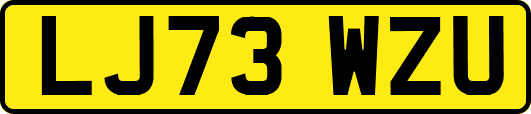 LJ73WZU
