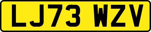 LJ73WZV