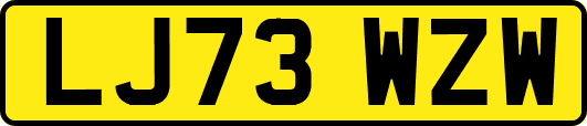 LJ73WZW