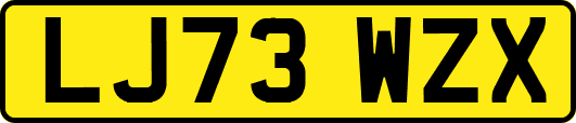 LJ73WZX