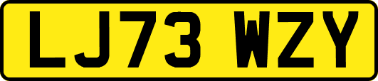 LJ73WZY