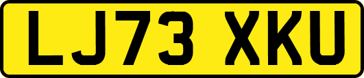 LJ73XKU